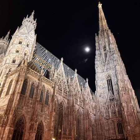 St. Stephen’s Cathedral in Vienna is illuminated at night, with the moon visible above its spires during the ME/CFS mass.