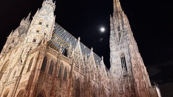 St. Stephen’s Cathedral in Vienna is illuminated at night, with the moon visible above its spires during the ME/CFS mass.